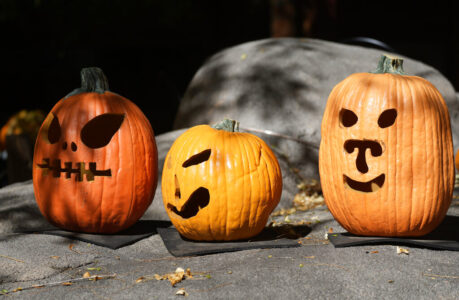 Trick or treat hours in the Valley